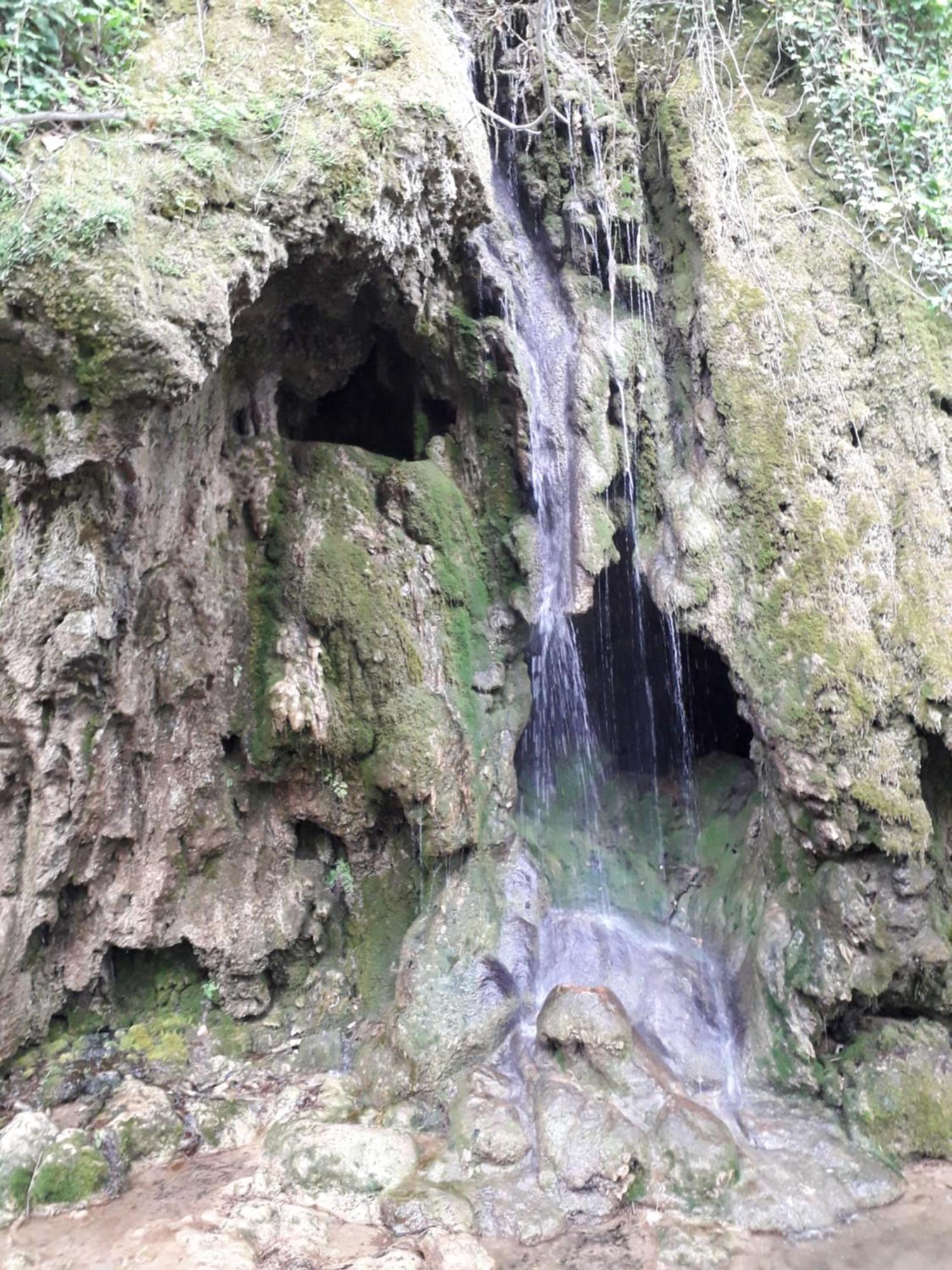 Appartement Kuce Za Odmor Brkic à Lozovac Extérieur photo